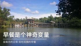 强大的狮子拼图
